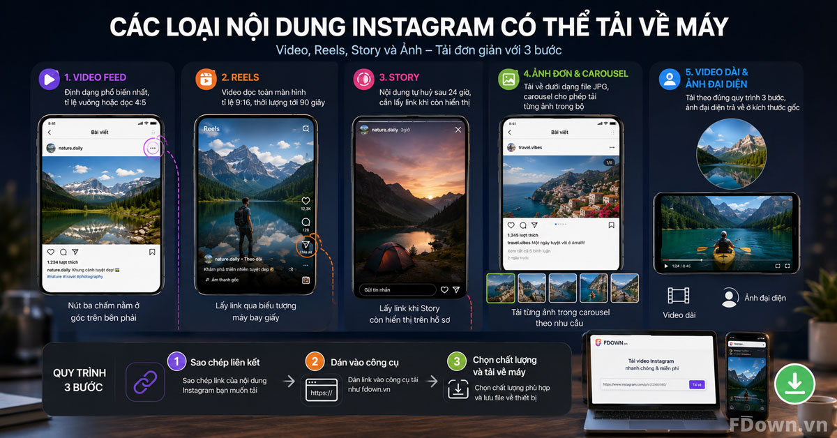 Các loại nội dung Instagram có thể tải về máy gồm video, Reels, Story và ảnh
